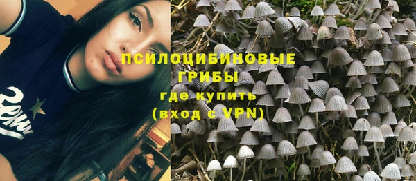 мяу мяу мука Нягань