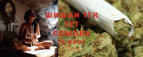дмт Сосновый Бор
